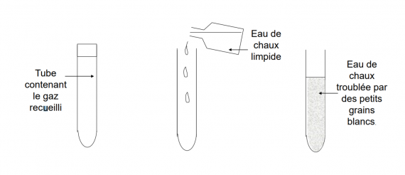 Test du gaz recueilli : on verse de l'eau de chaux limpide dans le tube qui contient le gaz. L'eau de chaux se trouble en formant de petits grains blancs.